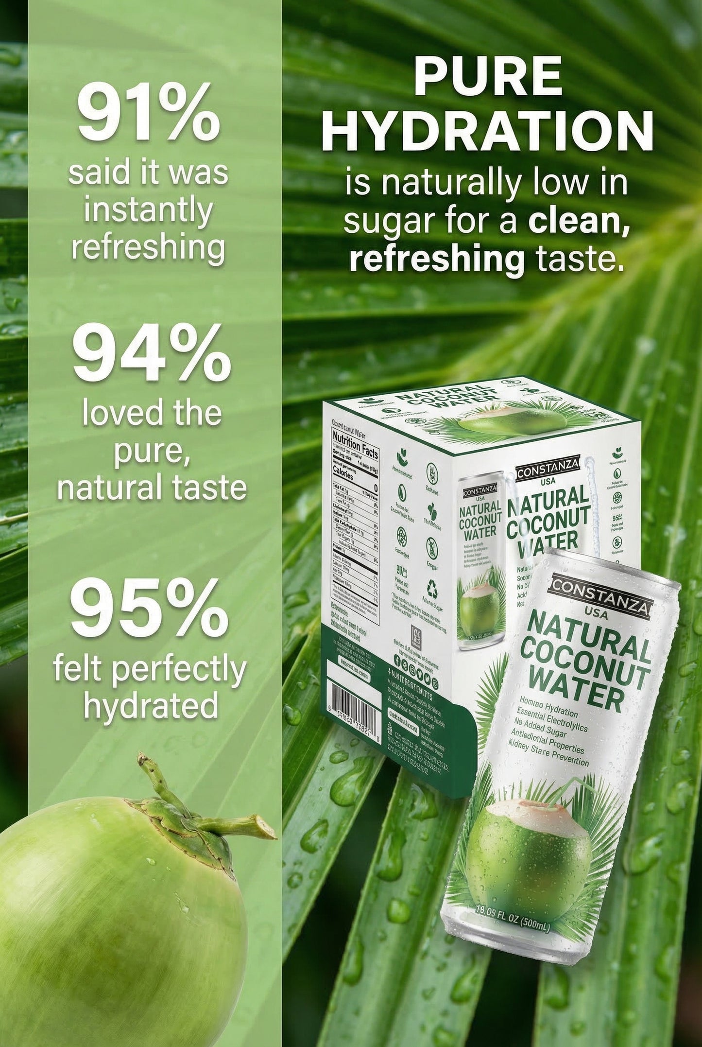 Constanza F&B Natural Coconut Water 320ml/ 24 units
