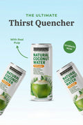 Constanza F&B Natural Coconut Water with Pulp 320ml/ 24 units